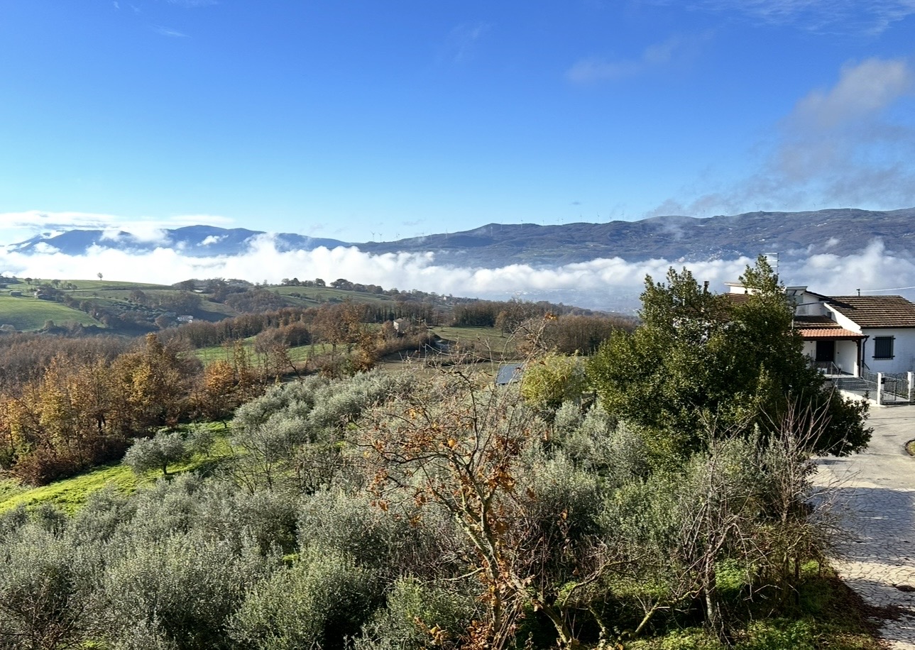 Mist resting over the valley