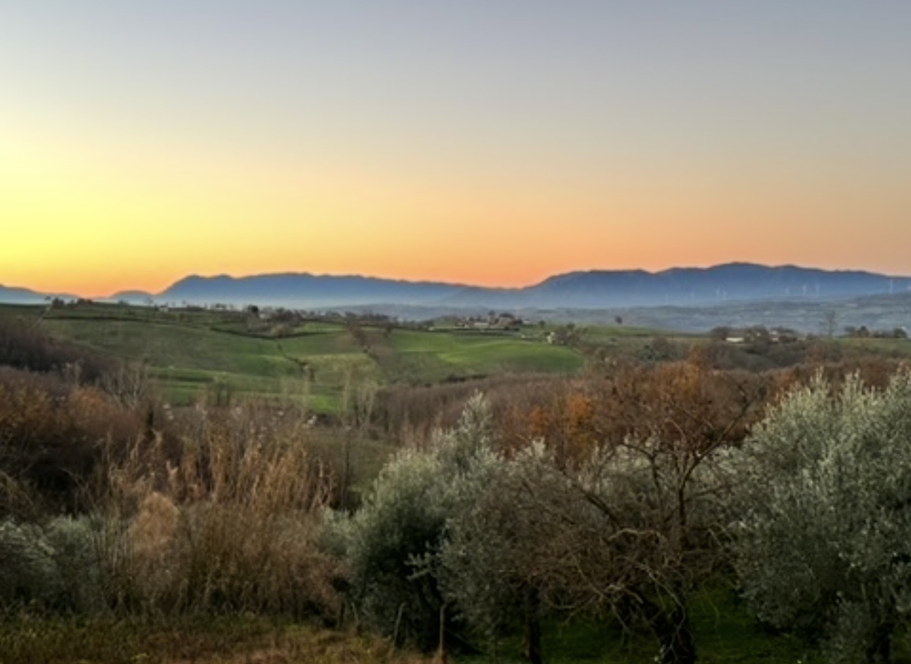 The countryside at dusk
