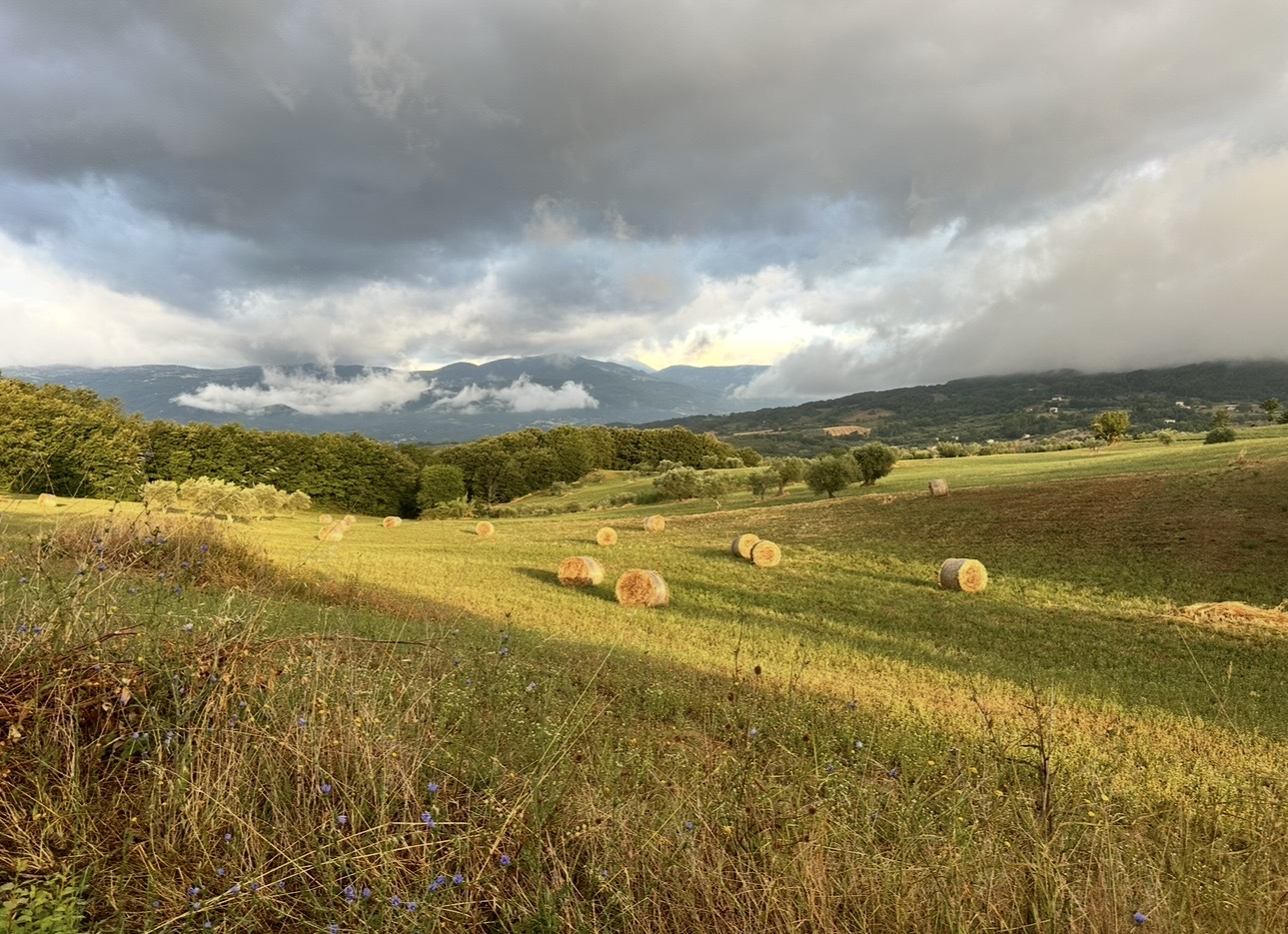 Hay fields beneath a changing sky