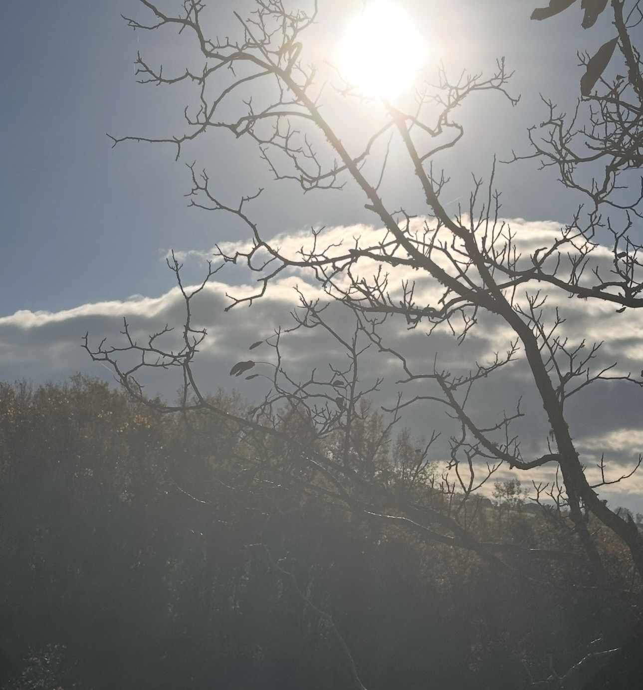 Sunlight and mist over the countryside
