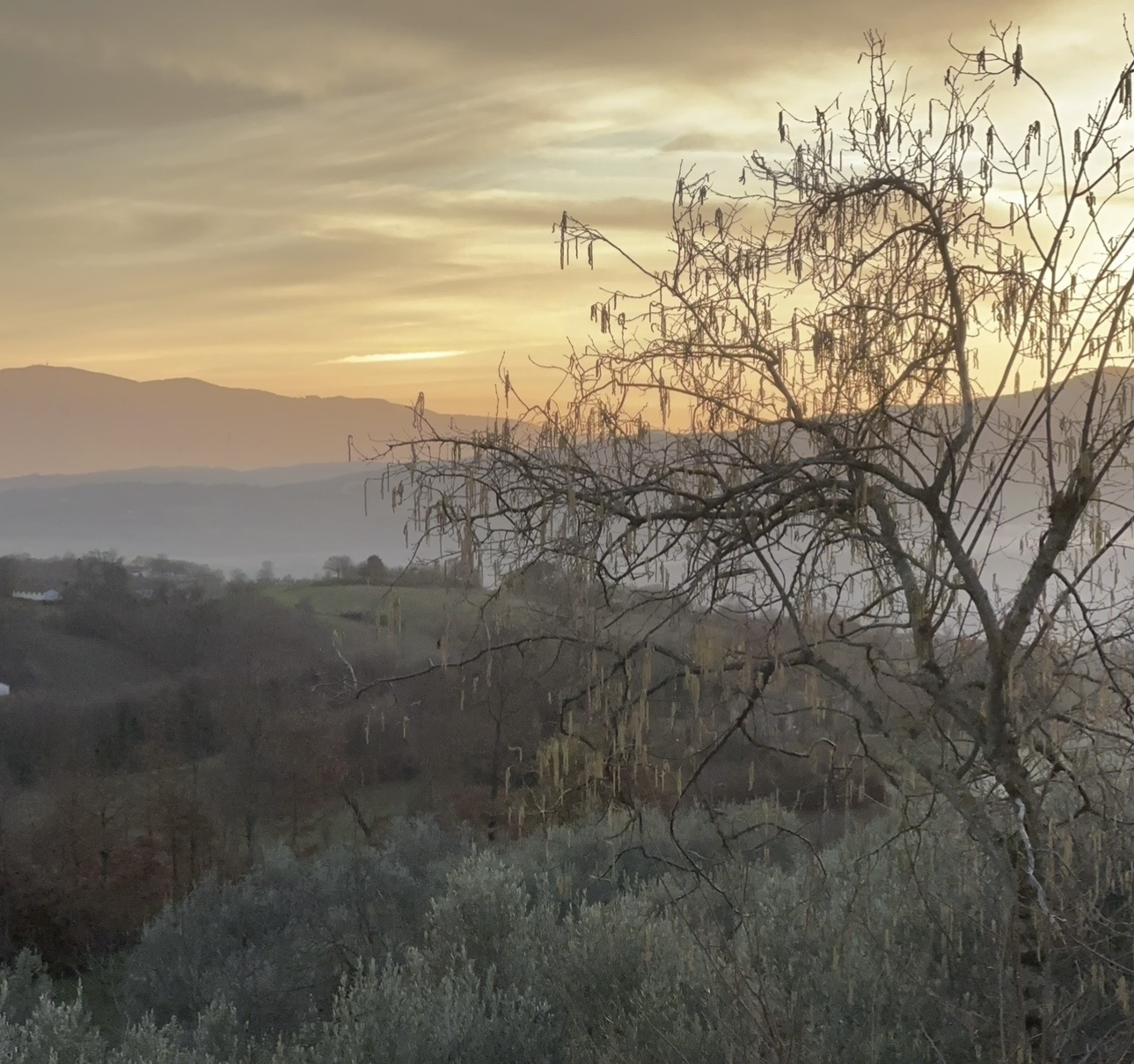 Golden light over the valley