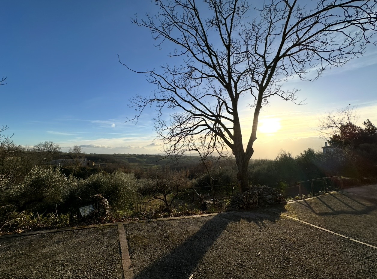 Long shadows in the afternoon