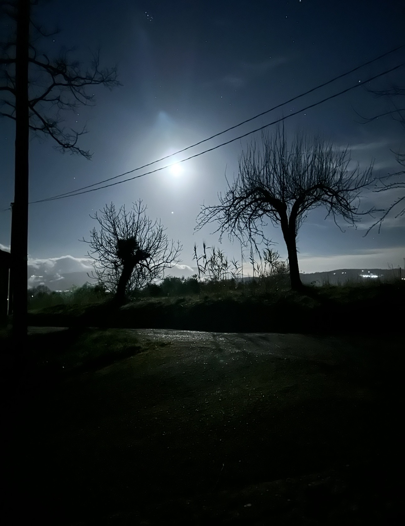 Moonlight over the countryside